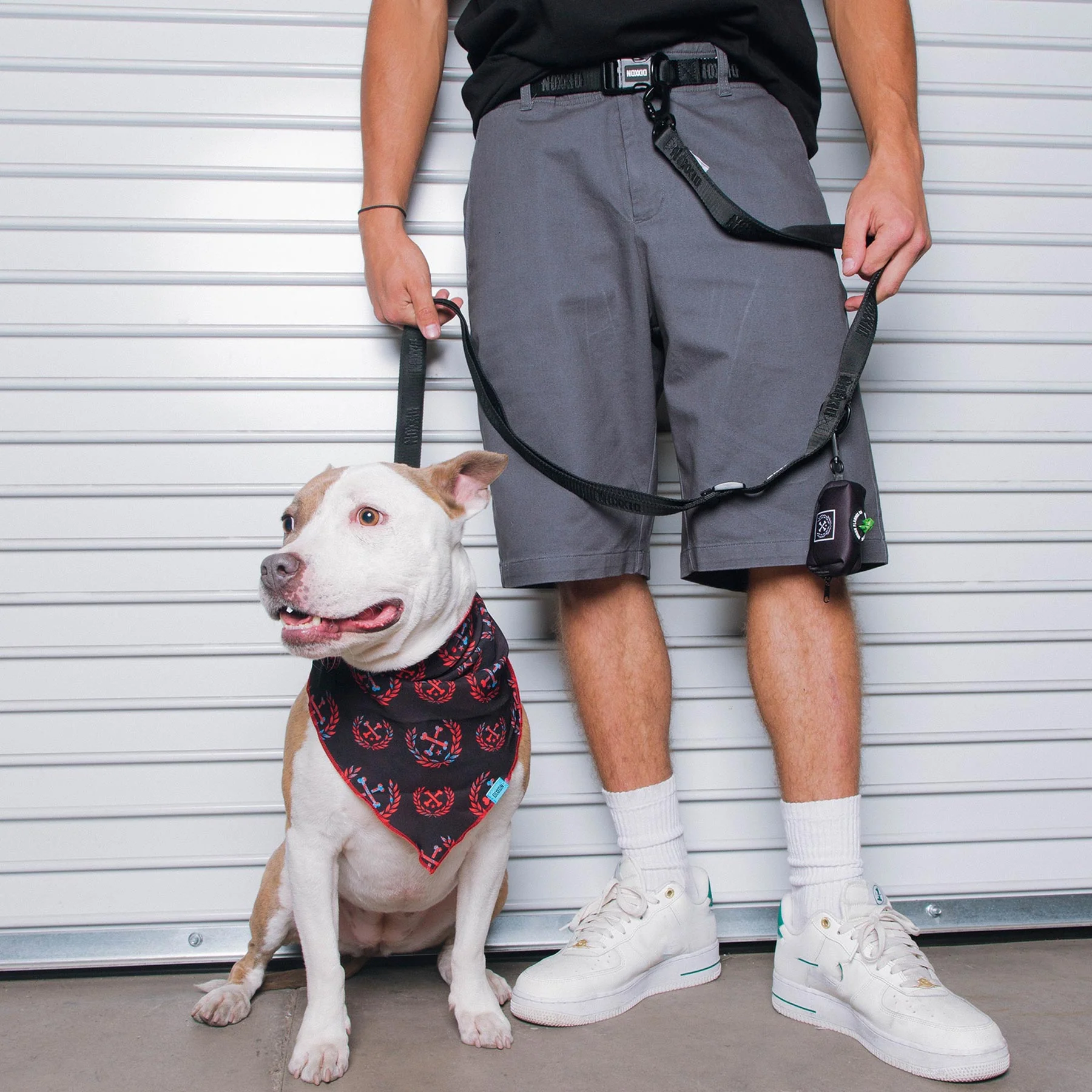 Dixxon Dog Walking Belt - Black