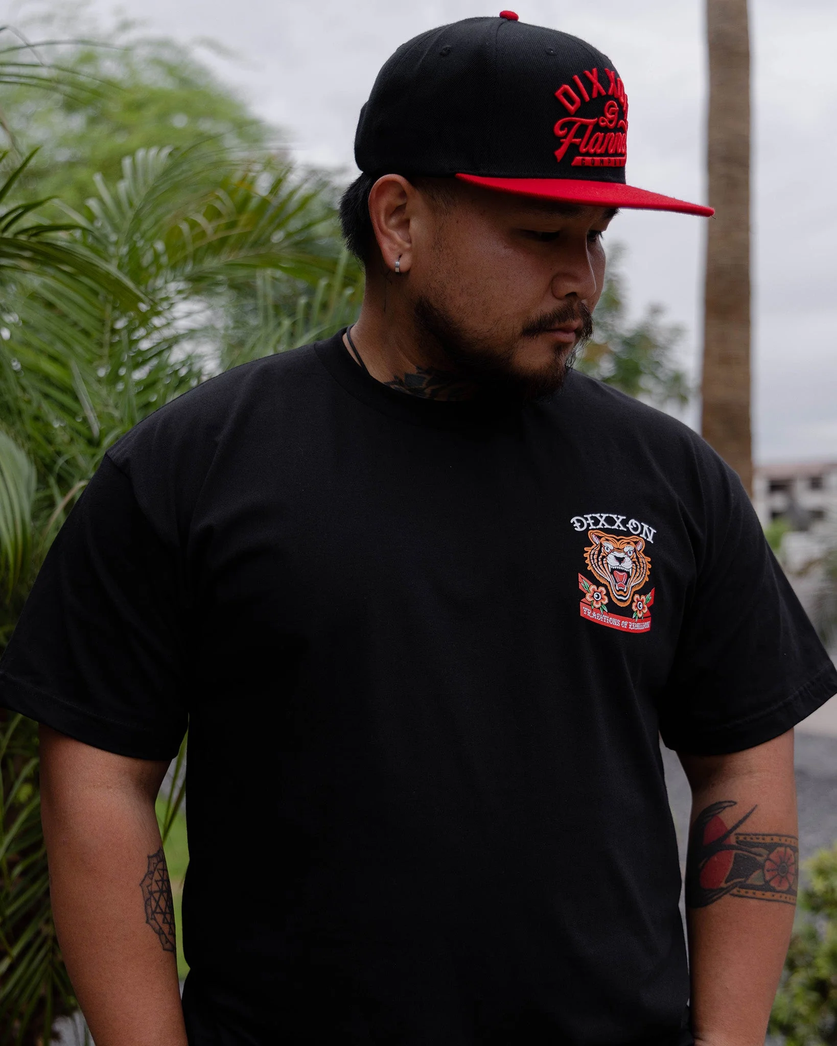Flash Tiger T-Shirt - Black - Image 4