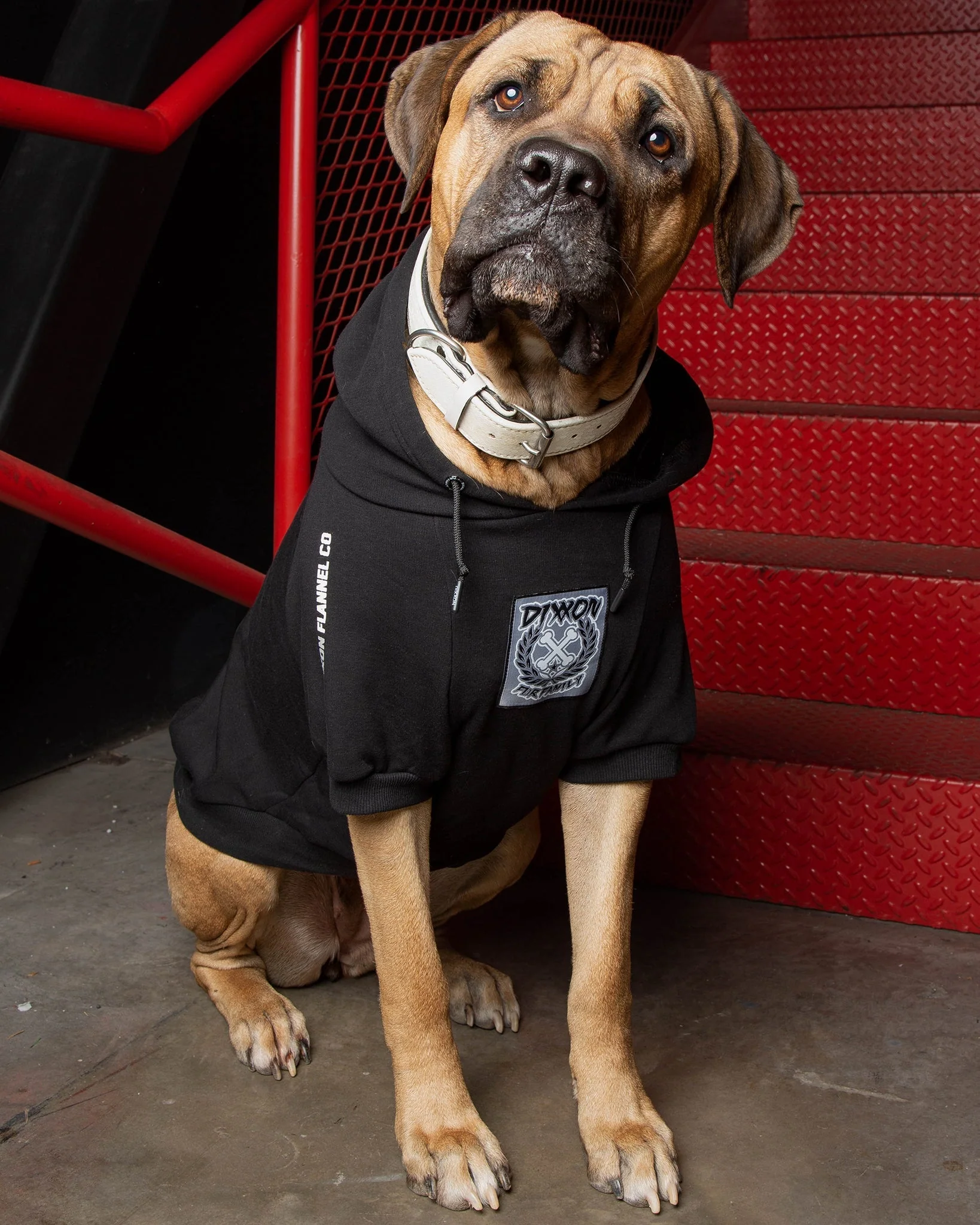 Fur Friends In Low Places Dog Hoodie - Image 2