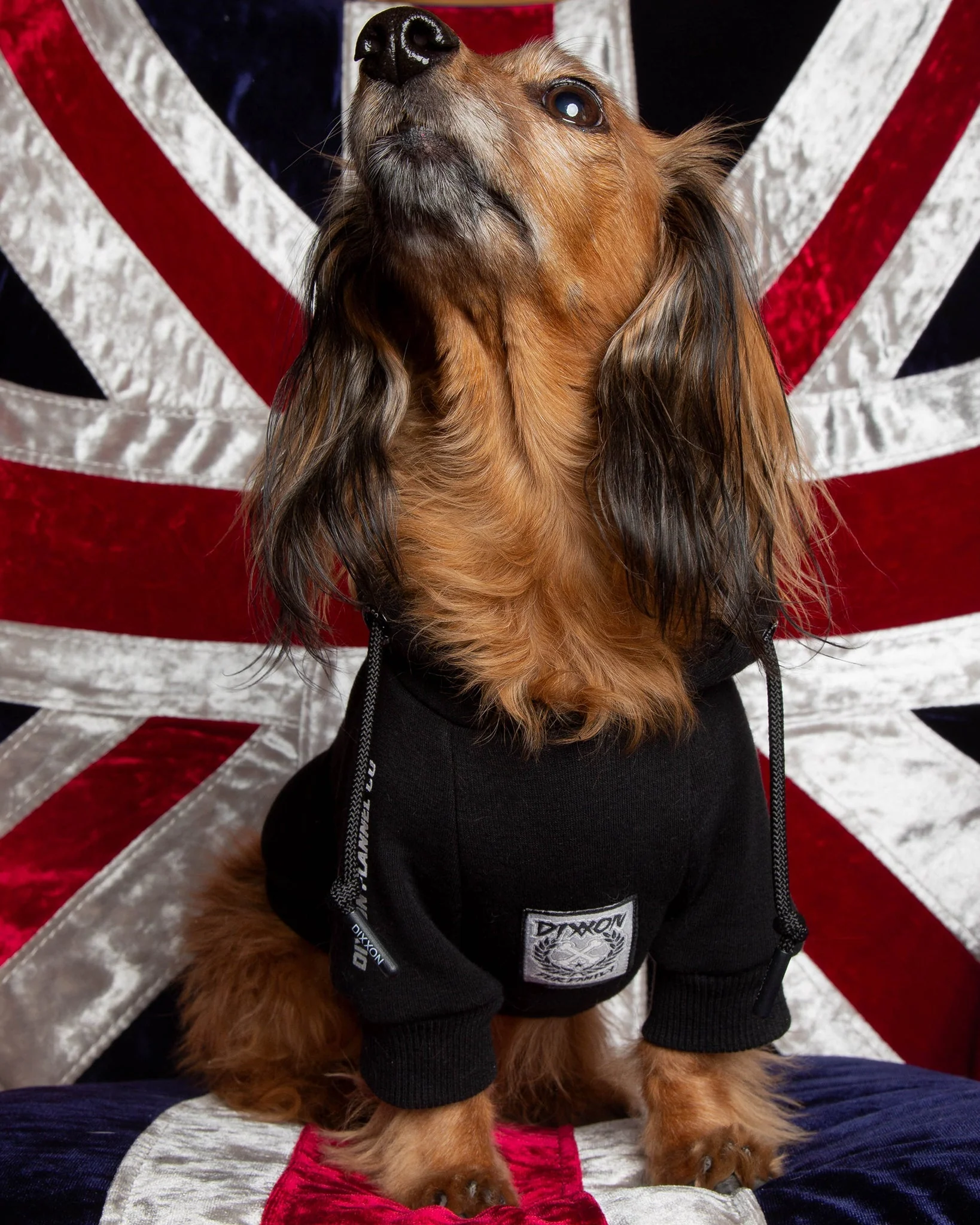 Fur Friends In Low Places Dog Hoodie - Image 3