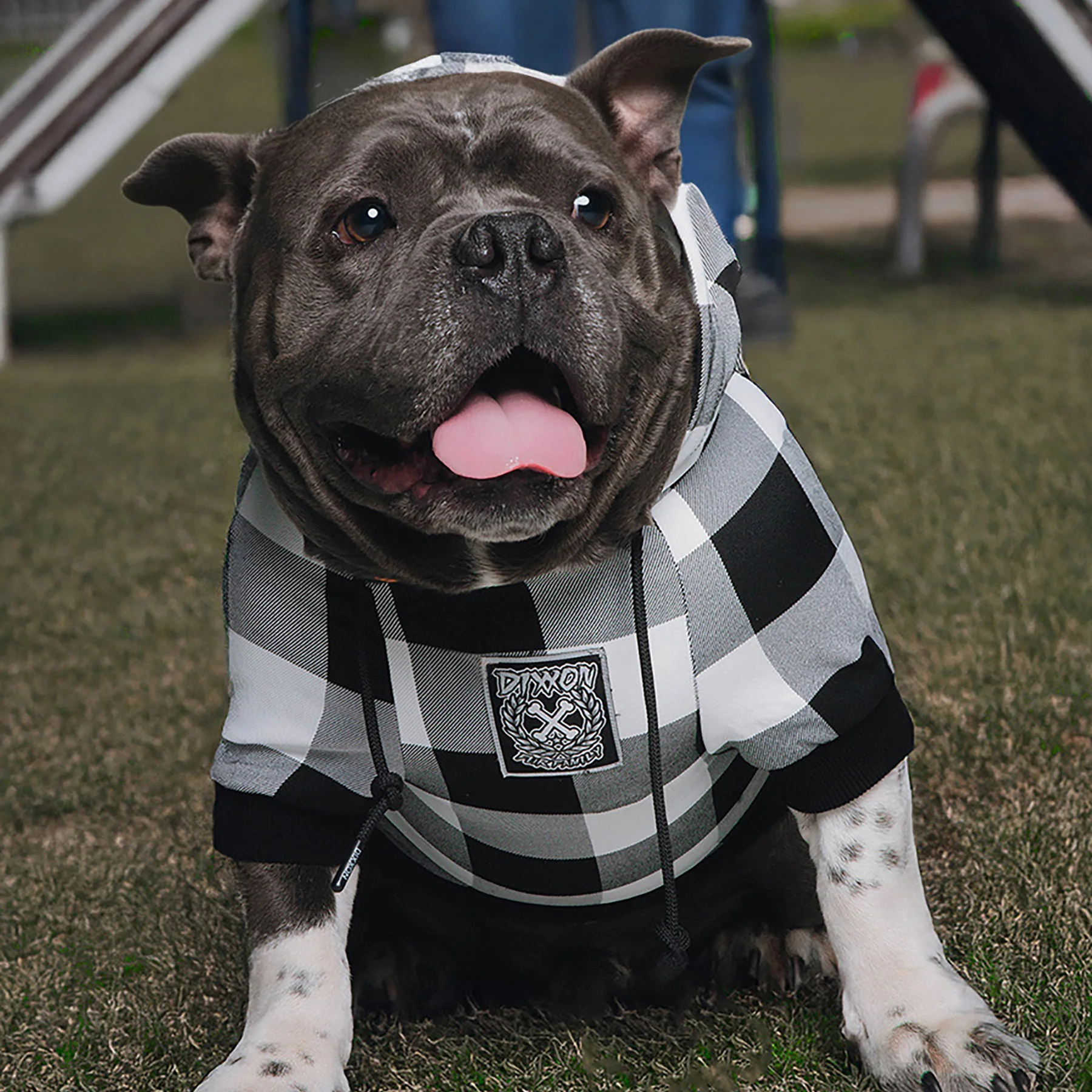 Gringo Flannel Print Dog Hoodie