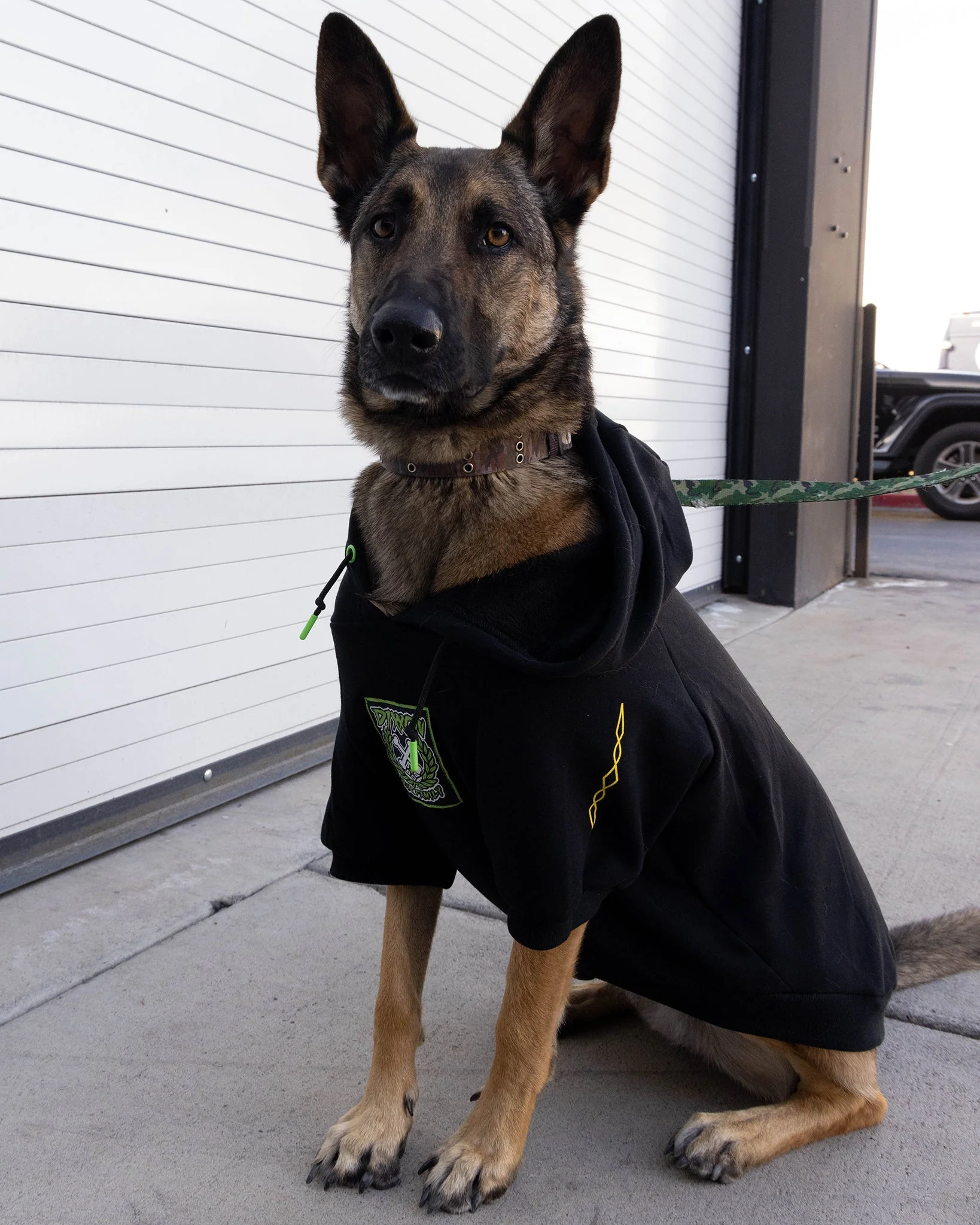 Perro Pinstripe Dog Hoodie - Image 10