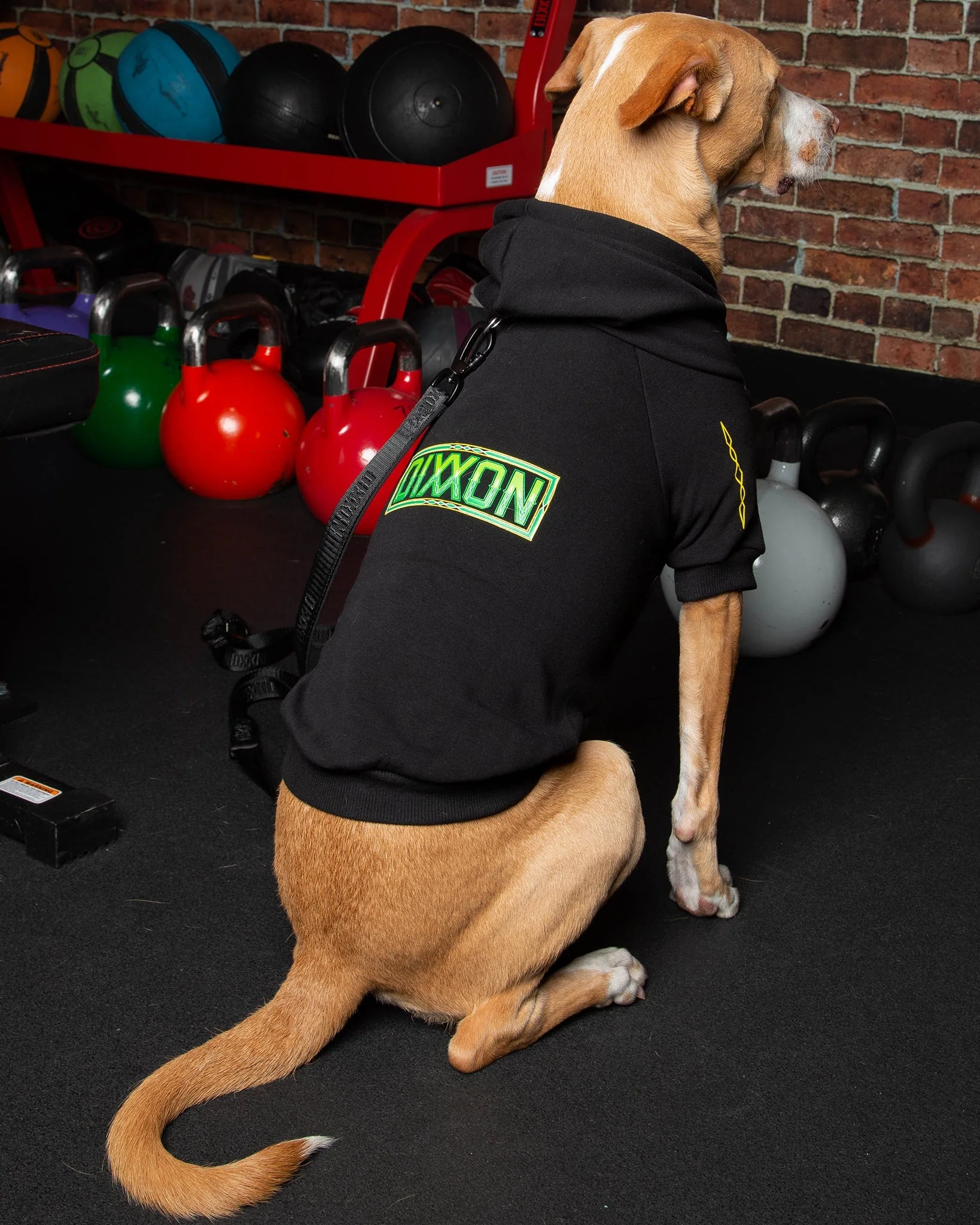 Perro Pinstripe Dog Hoodie - Image 3