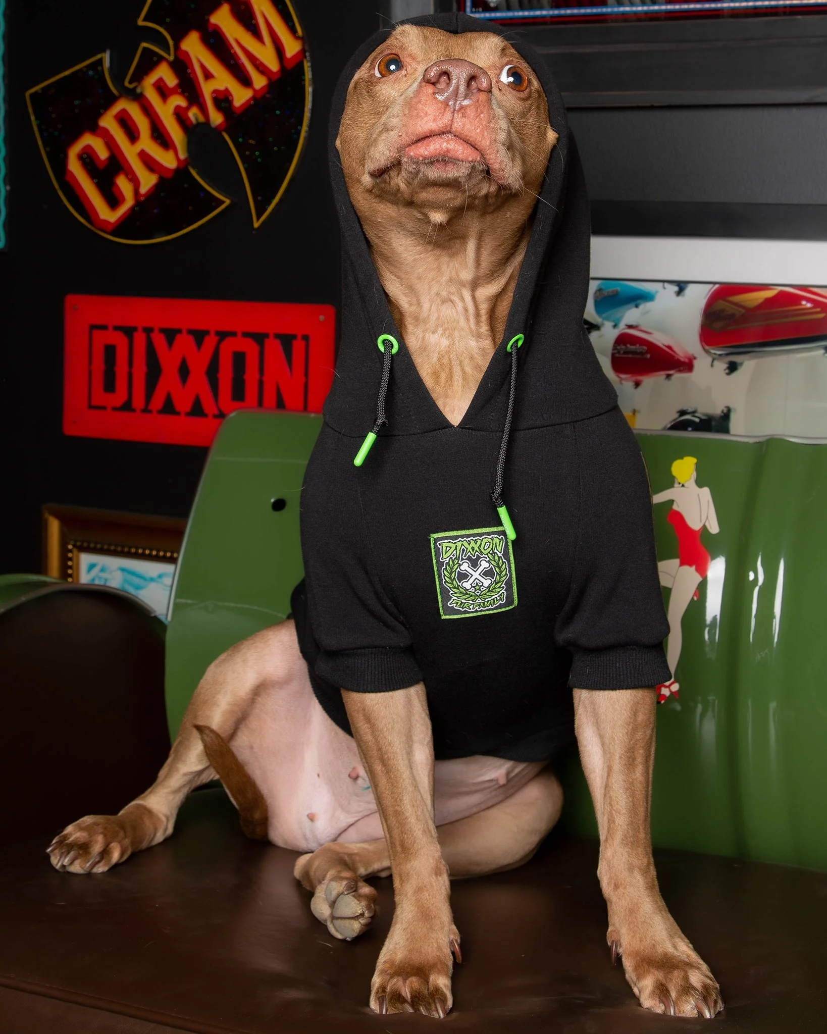 Perro Pinstripe Dog Hoodie - Image 6